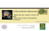 Critical Brain Networks Why do we need a brain at all? Why the brain should be critical?