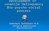 Development of  Juvenile Delinquency Bio-psycho-social process