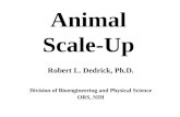 Animal Scale-Up