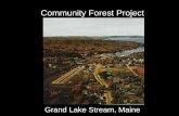 Community Forest Project