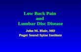 Low Back Pain  and  Lumbar Disc Disease