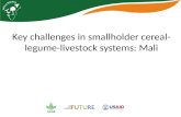 Key challenges in smallholder cereal-legume-livestock systems: Mali