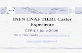 INFN CNAF TIER1 Castor Experience