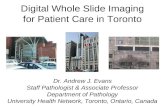 Digital Whole Slide Imaging for Patient Care in Toronto