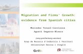 Migration and Firms’ Growth:  evidence from Spanish cities Mercedes Teruel-Carrizosa