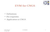EVM for CNGS