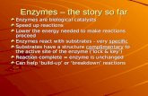 Enzymes – the story so far