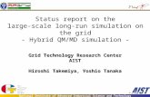 Status report on the large-scale long-run simulation on the grid - Hybrid QM/MD simulation -