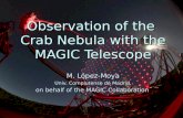 Observation of the  Crab Nebula with the MAGIC Telescope