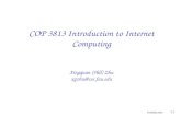 COP 3813 Introduction to Internet Computing Xingquan (Hill) Zhu xqzhu@cse.fau