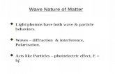 Wave Nature of Matter