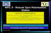 WP2.3 - Robust Spin Polarisation Status