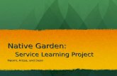 Native Garden: Service Learning Project