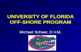 UNIVERSITY OF FLORIDA OFF-SHORE PROGRAM