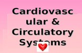 Cardiovascular & Circulatory Systems