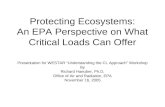 Protecting Ecosystems: An EPA Perspective on What Critical Loads Can Offer
