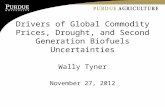 Drivers of Global Commodity Prices, Drought, and Second Generation Biofuels Uncertainties