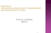 CHAPTER 8:  DEVELOPING A BRAND EQUITY  MEASUREMENT AND MANAGEMENT SYSTEM