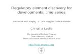 Regulatory element discovery for developmental time series