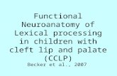 Functional Neuroanatomy of Lexical processing in children with cleft lip and palate (CCLP)