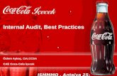 Internal Audit, Best Practices Özlem Aykaç, CIA,CCSA CAE Coca-Cola İçecek