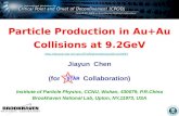 Particle Production in Au+Au Collisions at 9.2GeV