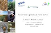 Non-Food Options at Farm Level  Annual Fibre Crops