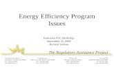 Energy Efficiency Program Issues