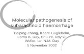 Molecular pathogenesis of subarachnoid haemorrhage