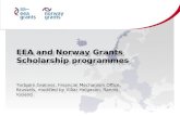 EEA and Norway Grants Scholarship programmes