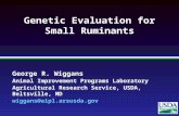 Genetic Evaluation for Small Ruminants