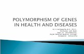 POLYMORPHISM OF GENES IN HEALTH AND DISEASES