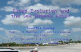 Cloud Evolution and the Sea Breeze Front