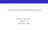 Sea ice remote sensing from space