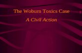 The Woburn Toxics Case A Civil Action