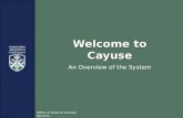 Welcome to Cayuse