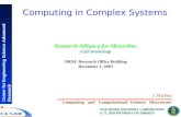 Computing in Complex Systems