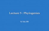 Lecture 5 : Phylogenies
