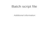 Batch script file