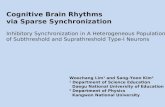 Cognitive Brain Rhythms via Sparse Synchronization