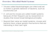 Overview: Microbial Model Systems