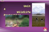 Unit 4  Wildlife Protection