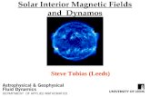 Solar Interior Magnetic Fields and  Dynamos