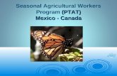 Seasonal Agricultural Workers  Program (PTAT) Mexico  - Canada