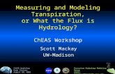 Measuring and Modeling Transpiration, or What the Flux is Hydrology? ChEAS Workshop