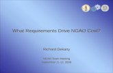 What Requirements Drive NGAO Cost?
