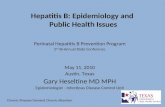 Hepatitis B: Epidemiology and  Public Health Issues