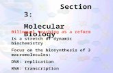Section 3: Molecular Biology