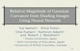 Relative Magnitude of Gaussian  Curvature from Shading Images Using Neural Network