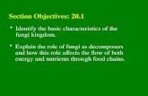 20.1 Section Objectives – page 529